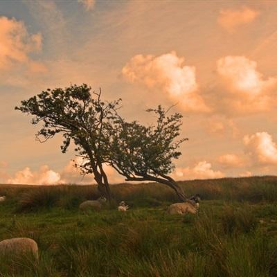 168极速赛车全天计划单期